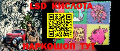 дмт Новозыбков